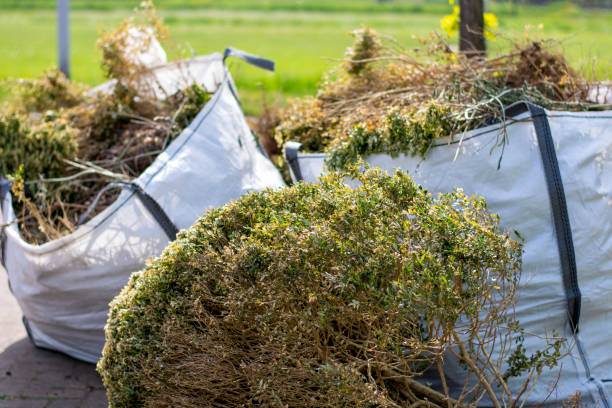 Best Construction Debris Removal  in Auburn, NY